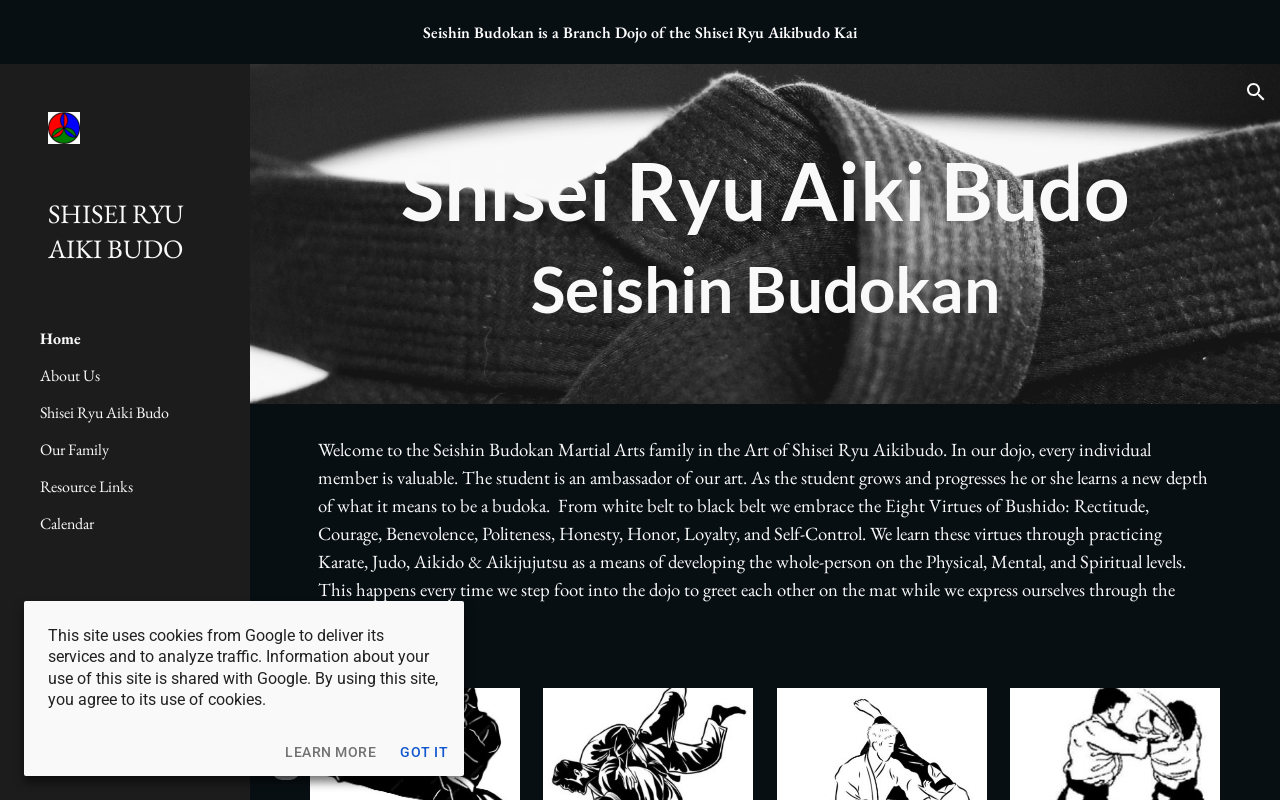 Seishin Budokan Martial Arts — screenshot of their official website