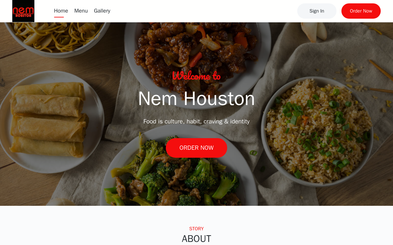 Nem Houston — screenshot of their official website