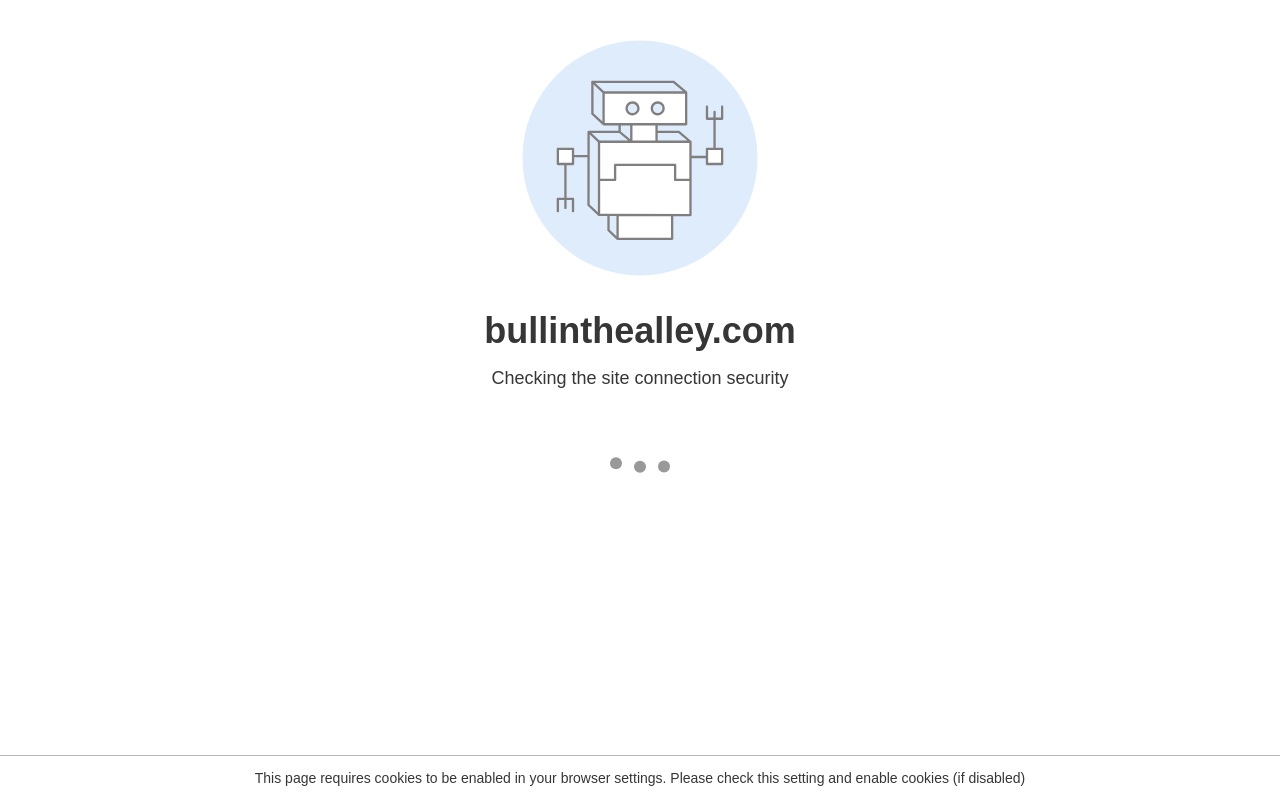 Bull In The Alley — screenshot of their official website