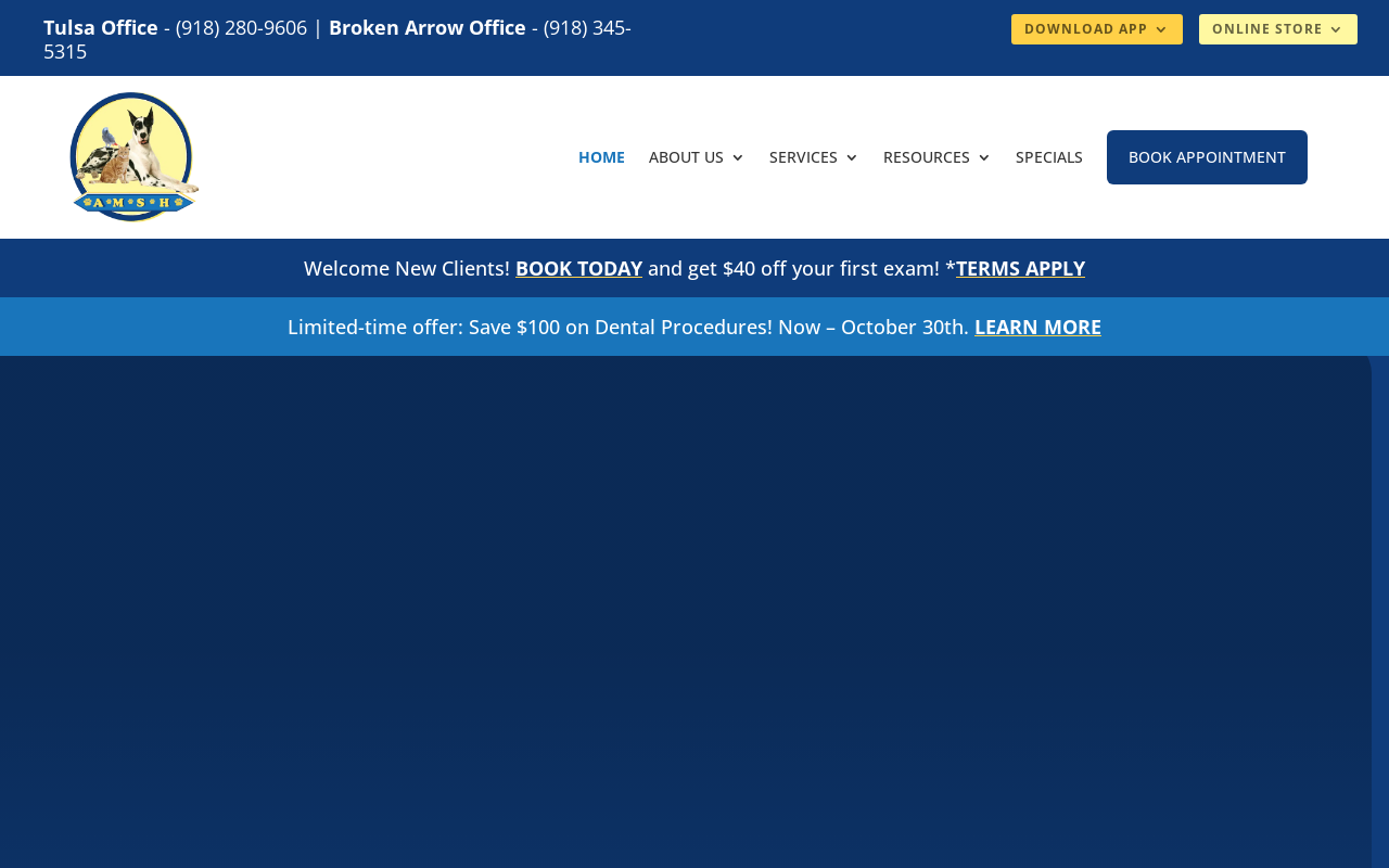 Animal Medical and Surgical Hospital — screenshot of their official website