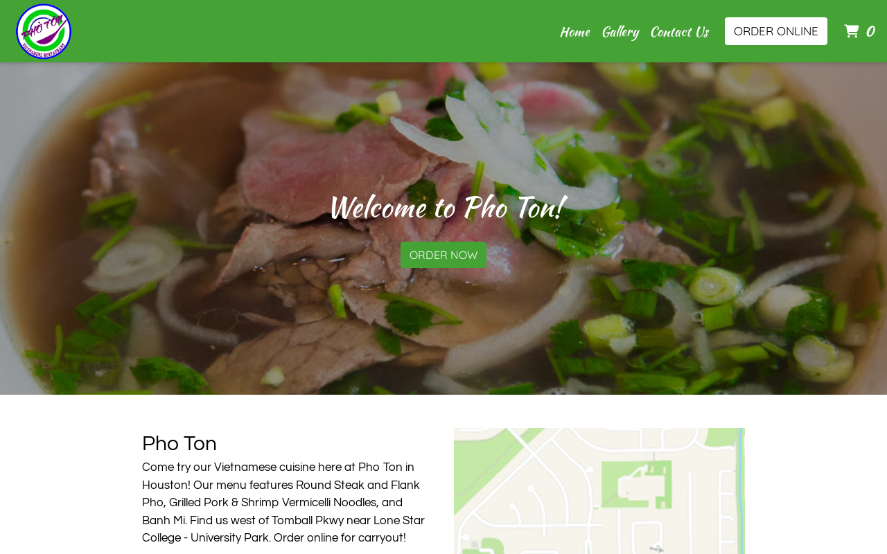 Pho Ton — screenshot of their official website