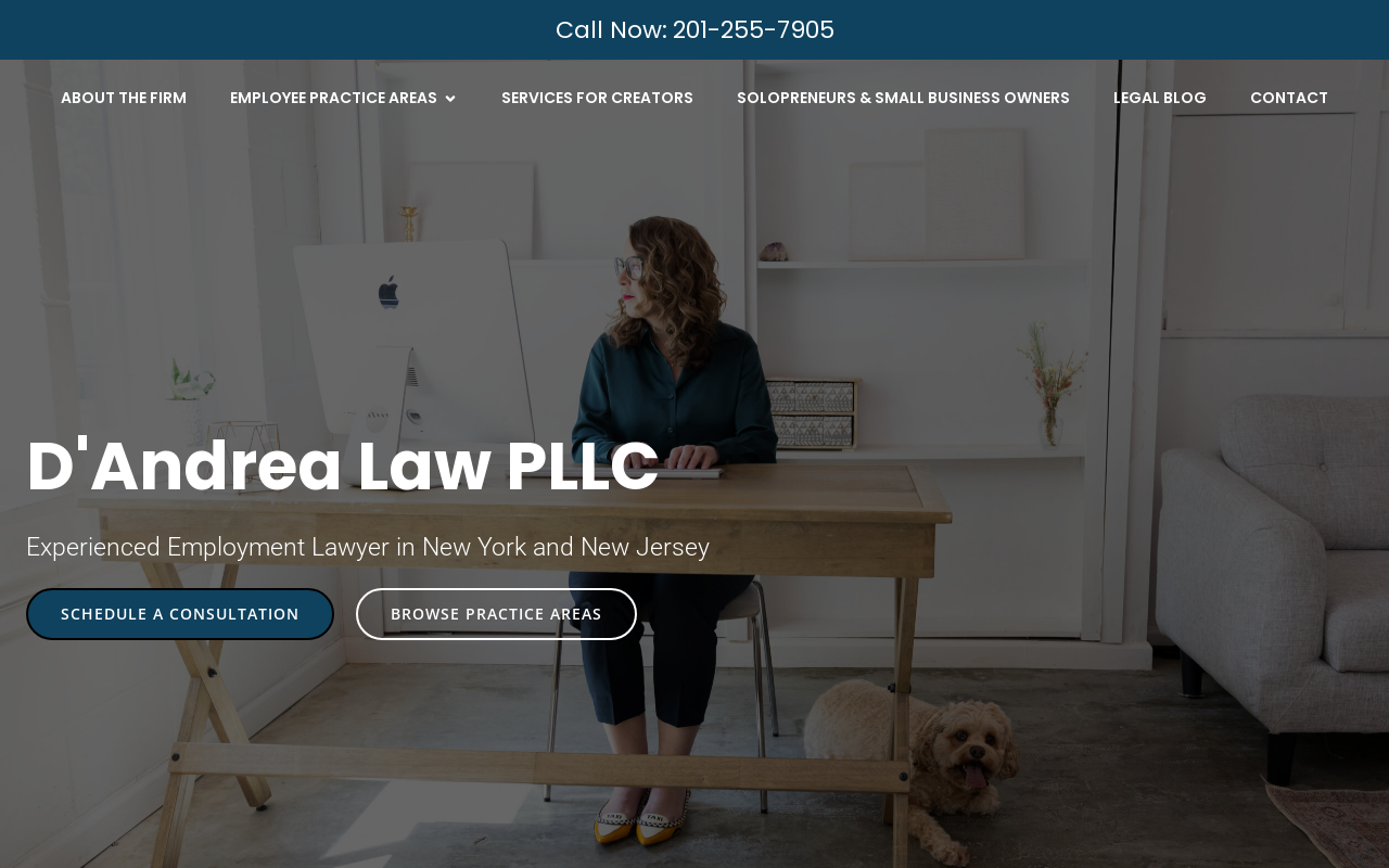 D'Andrea Law PLLC — screenshot of their official website