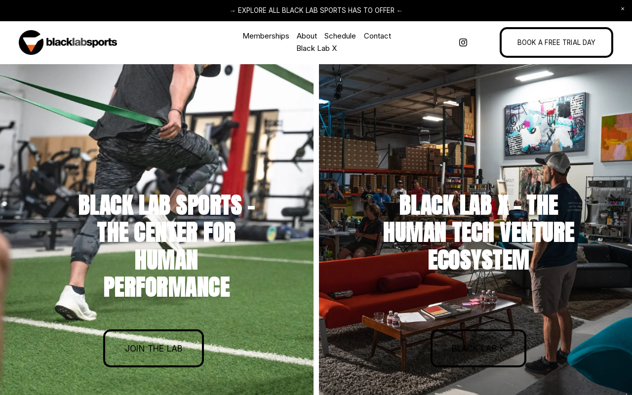 Black Lab Sports — screenshot of their official website