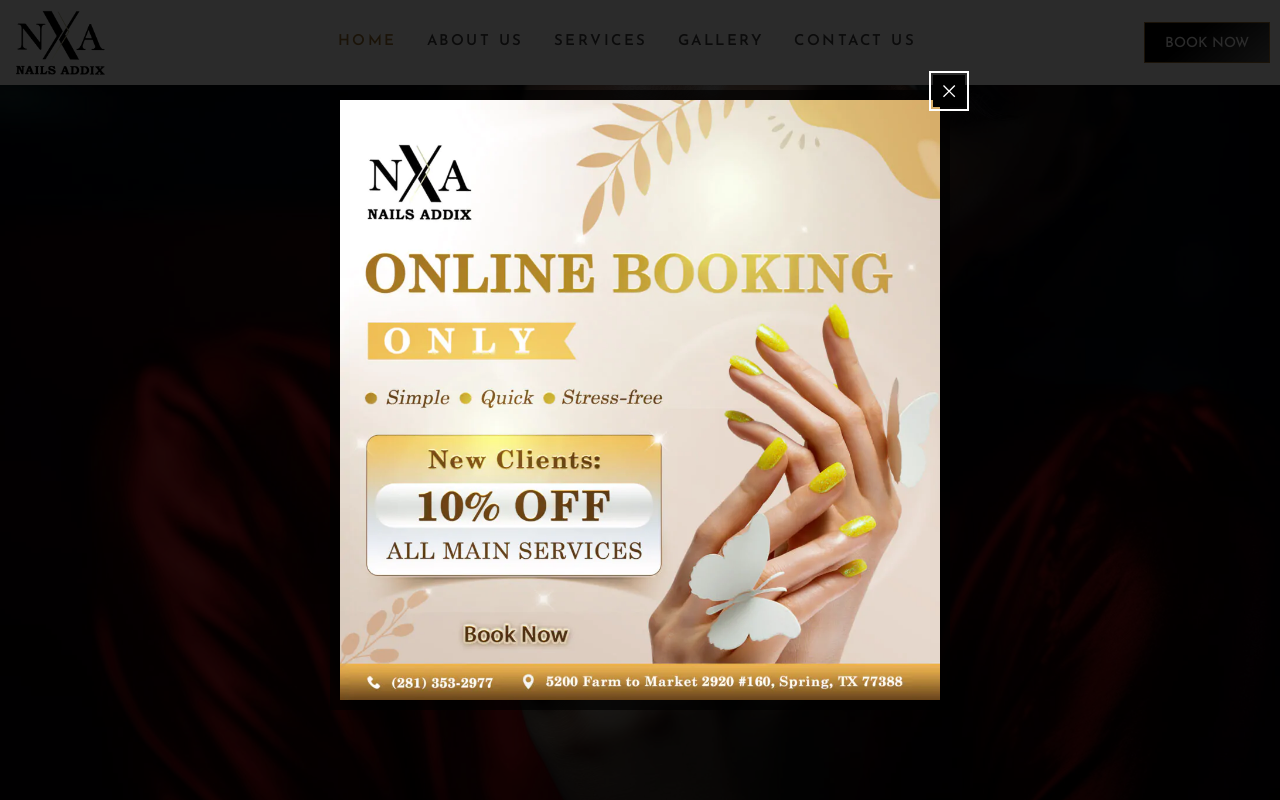 Nails Addix — screenshot of their official website