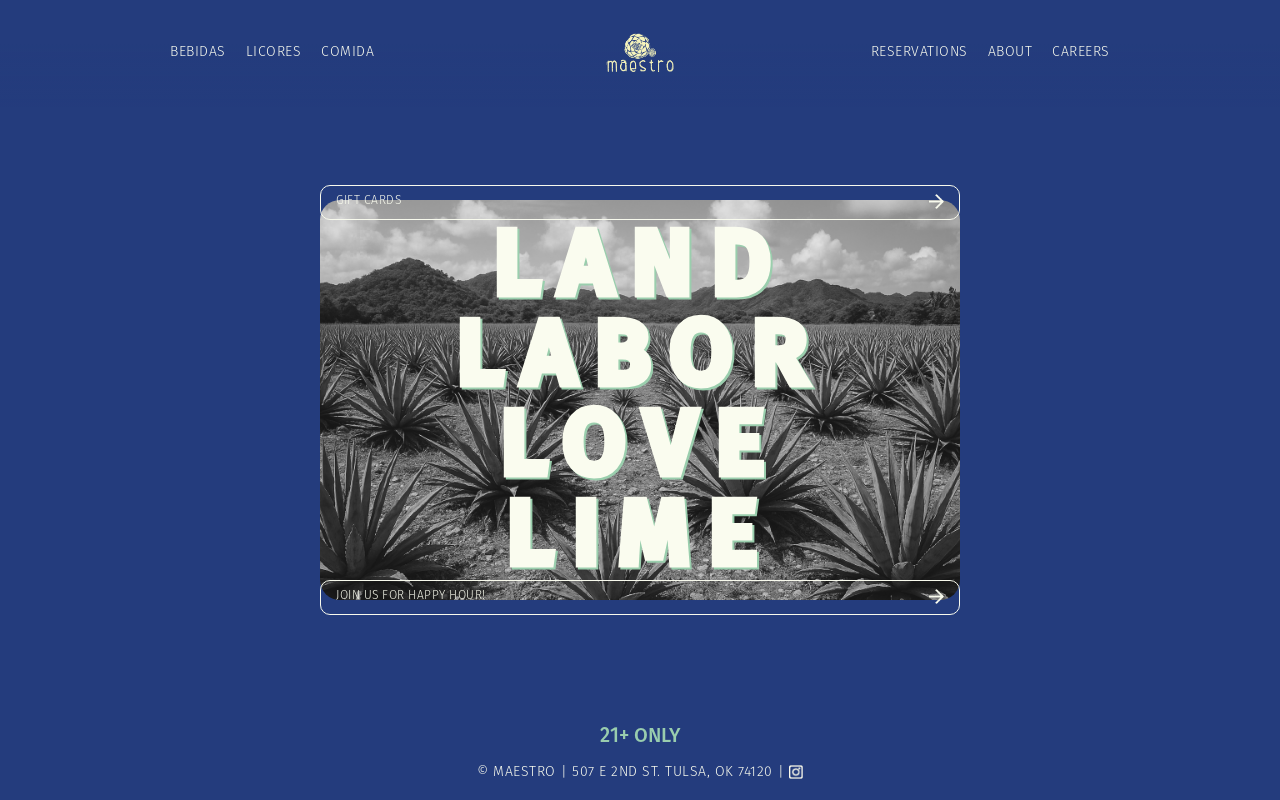 Maestro — screenshot of their official website