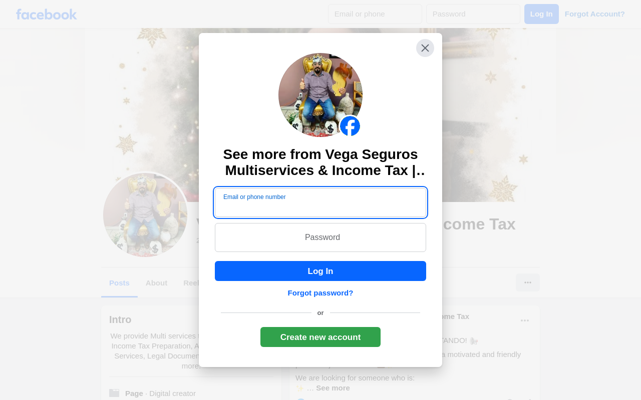Vega Seguros Multi-Services — screenshot of their official website