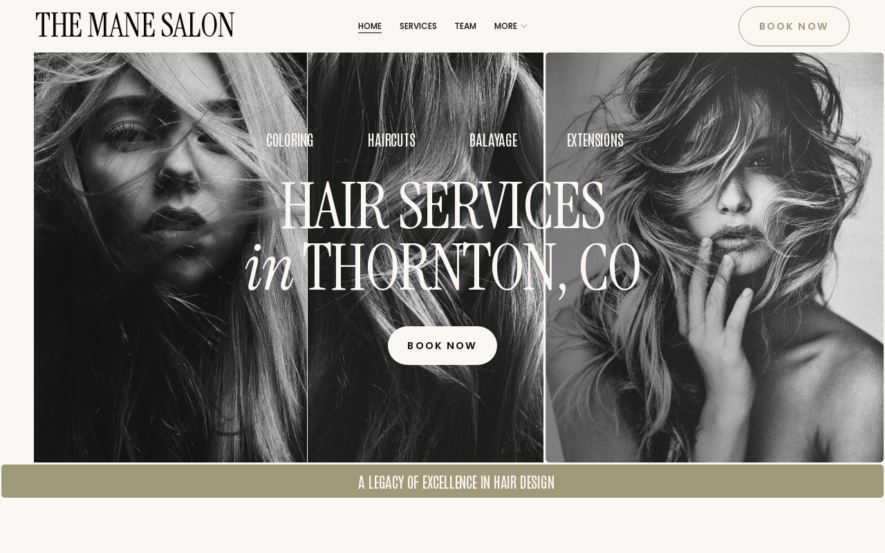 The Mane Salon — screenshot of their official website