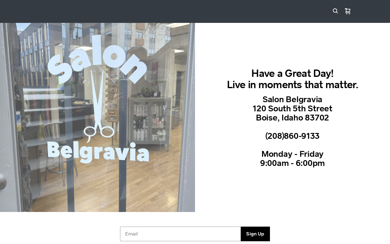 Salon Belgravia — screenshot of their official website