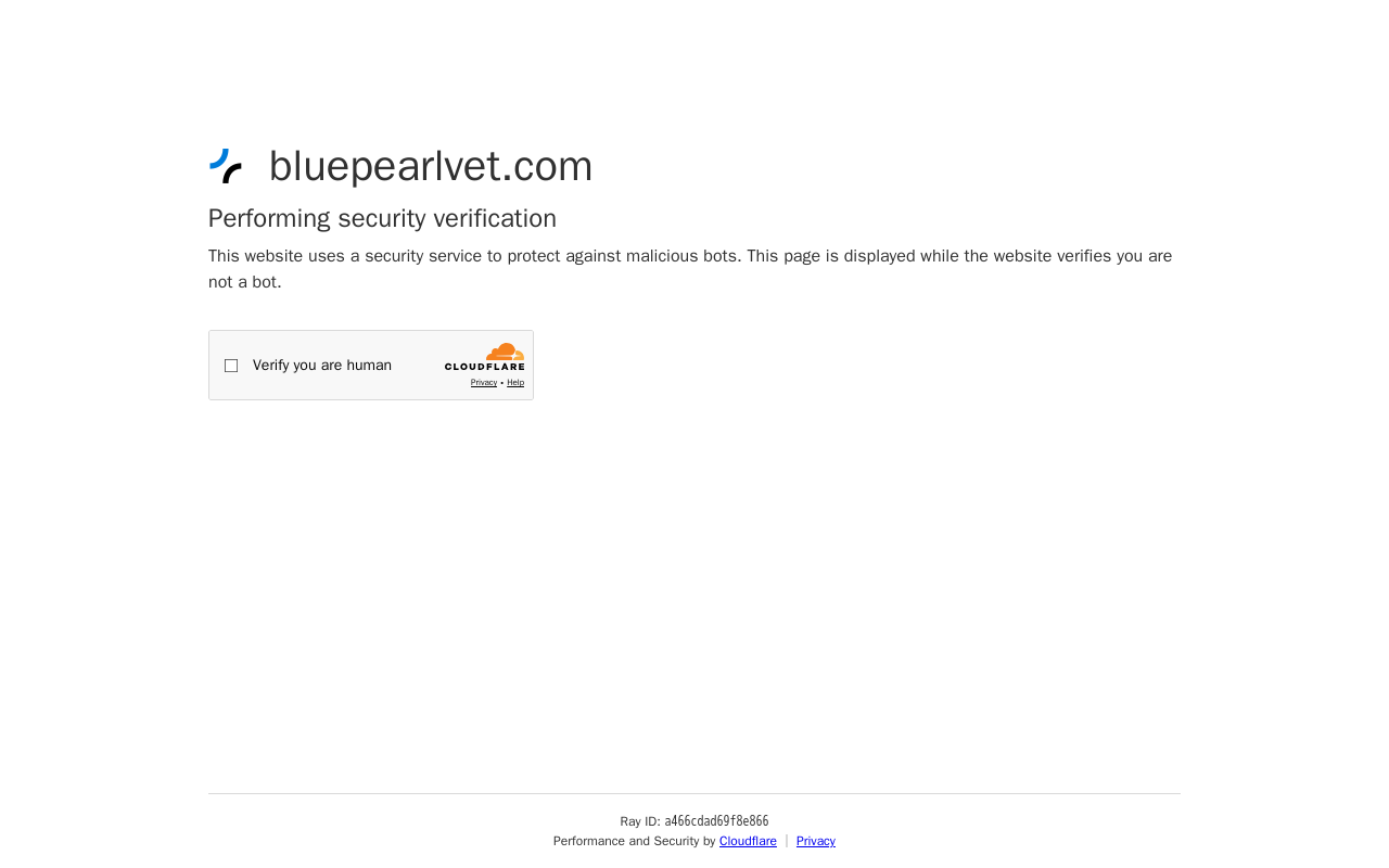 BluePearl — screenshot of their official website