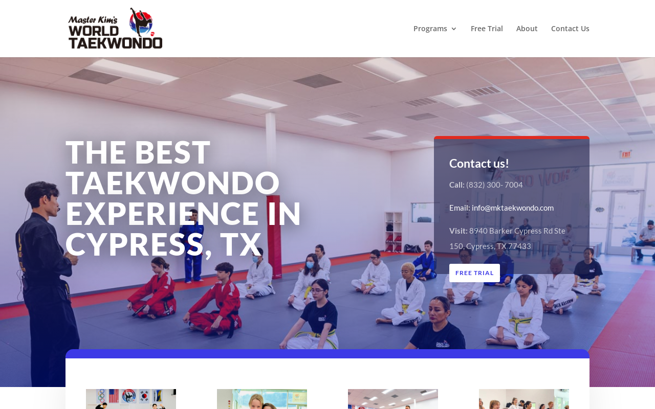 Master Kim's Taekwando — screenshot of their official website