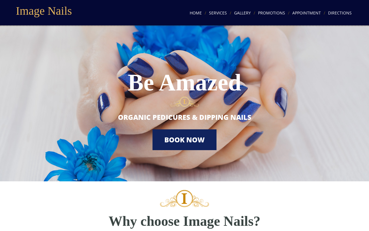 Image Nails — screenshot of their official website