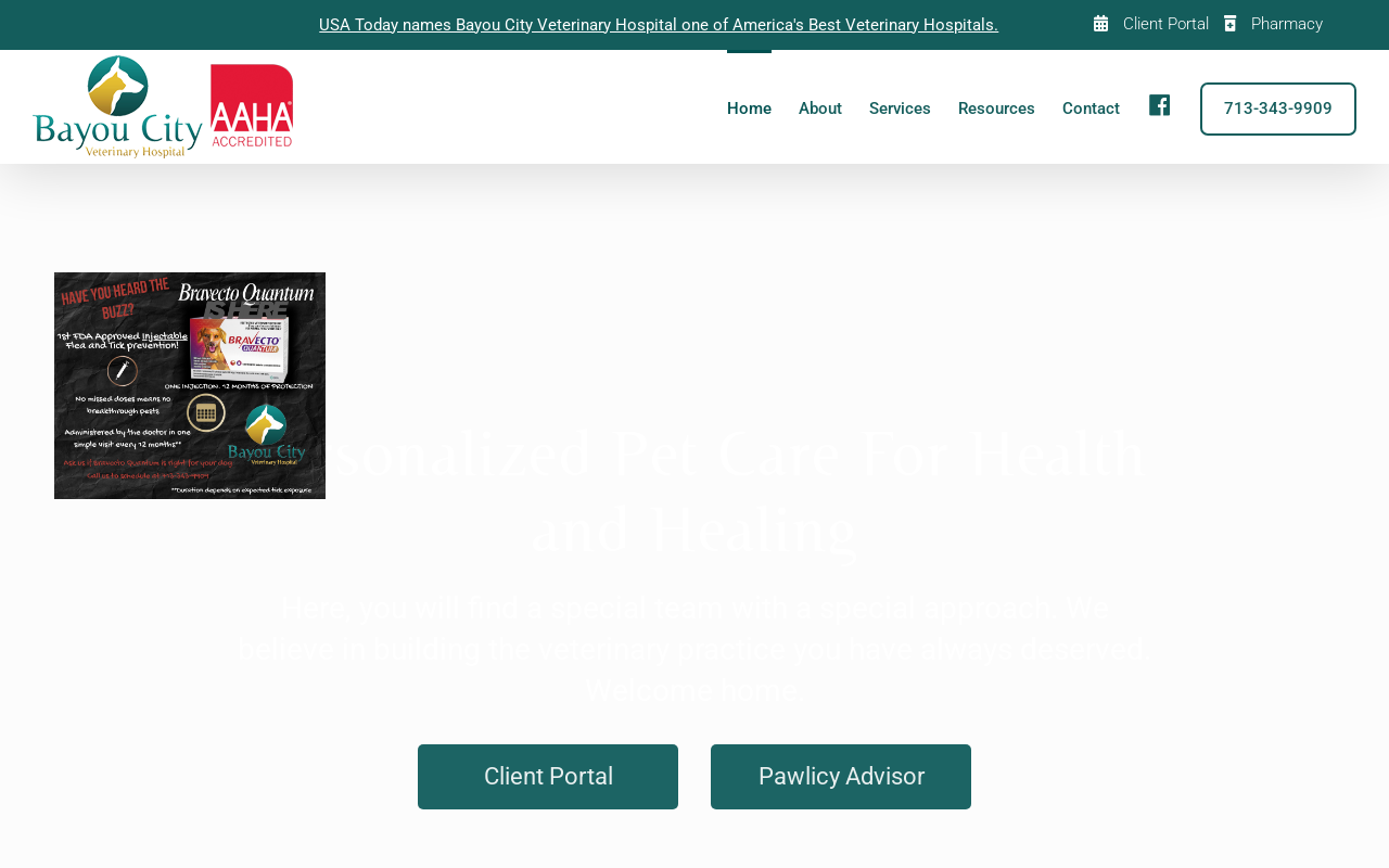 Bayou City Veterinary Hospital — screenshot of their official website