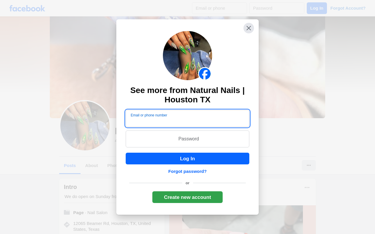 Natural Nails & Hair — screenshot of their official website