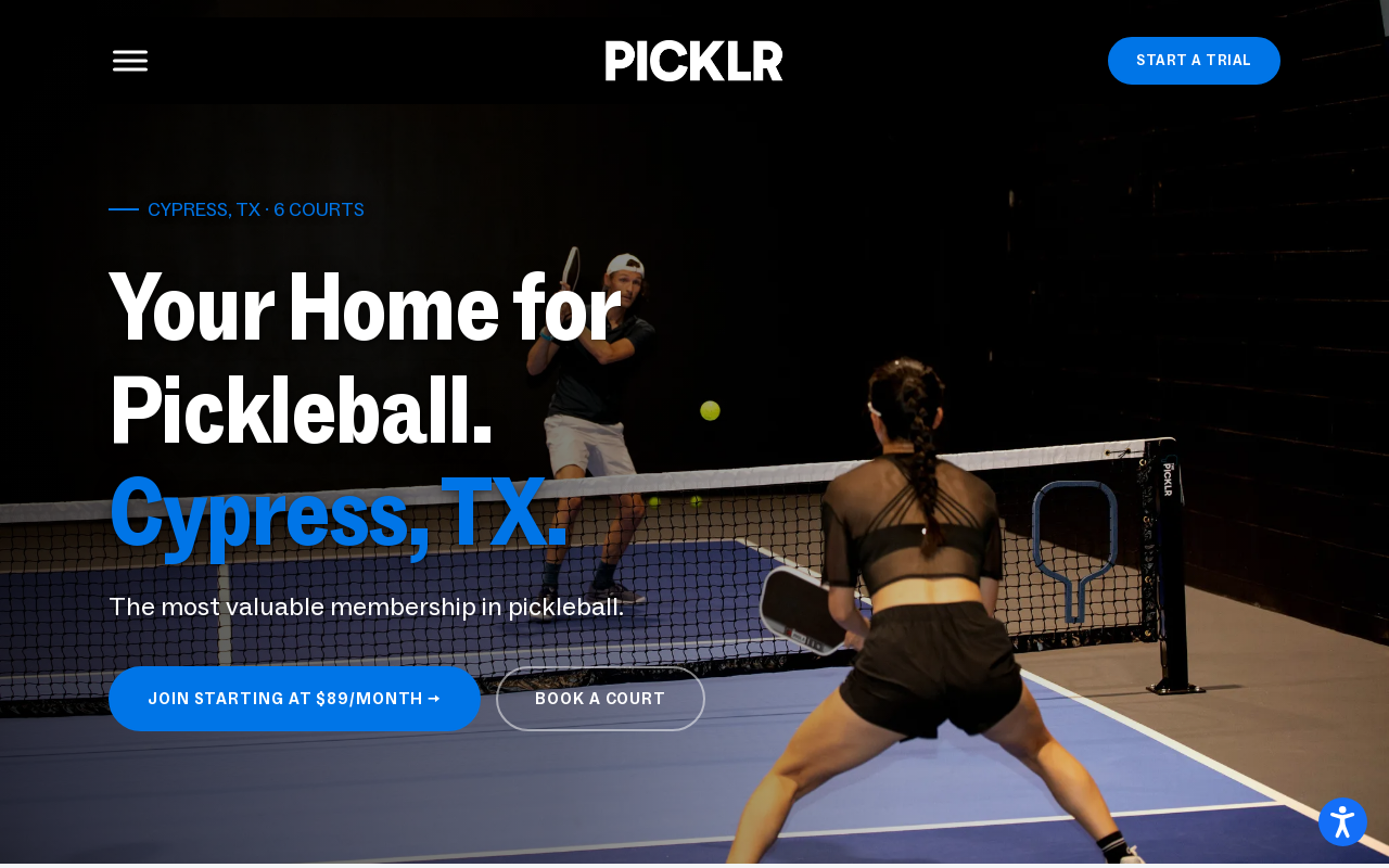 The PICKLR — screenshot of their official website