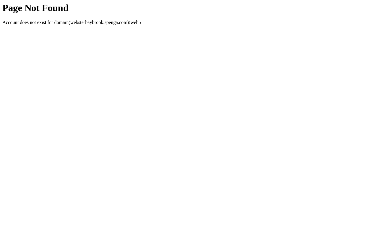 spenga — screenshot of their official website