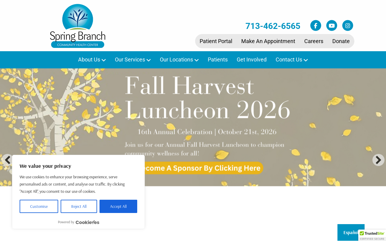 Spring Branch Hillendahl Clinic — screenshot of their official website