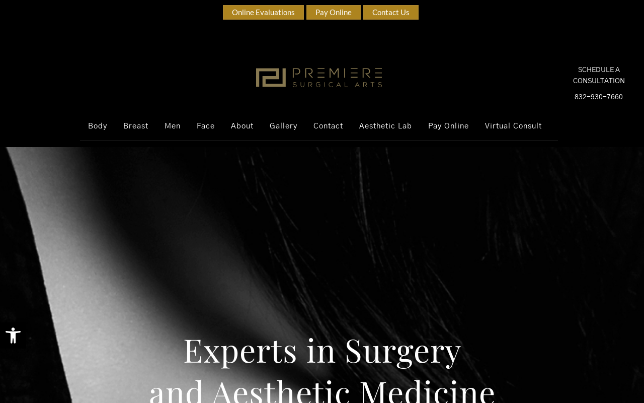 Premiere Surgical Arts — screenshot of their official website