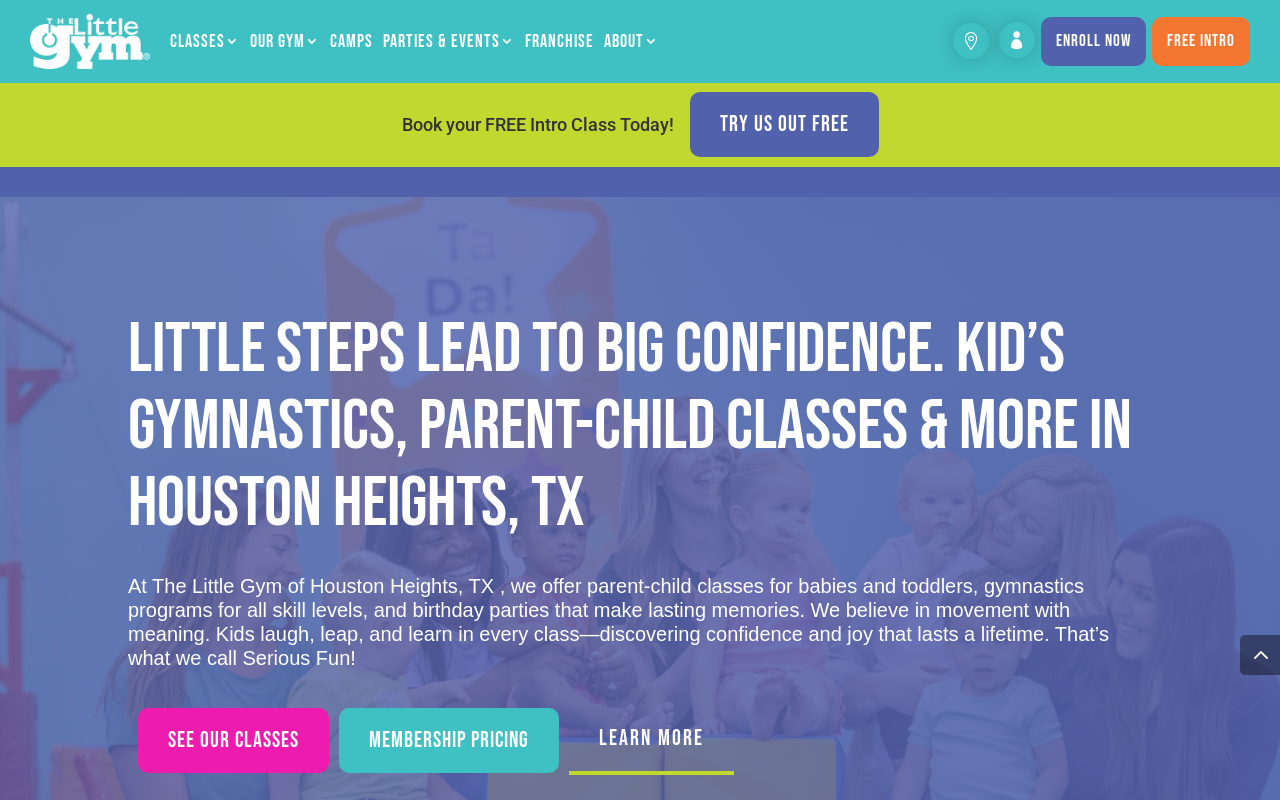 The Little Gym — screenshot of their official website