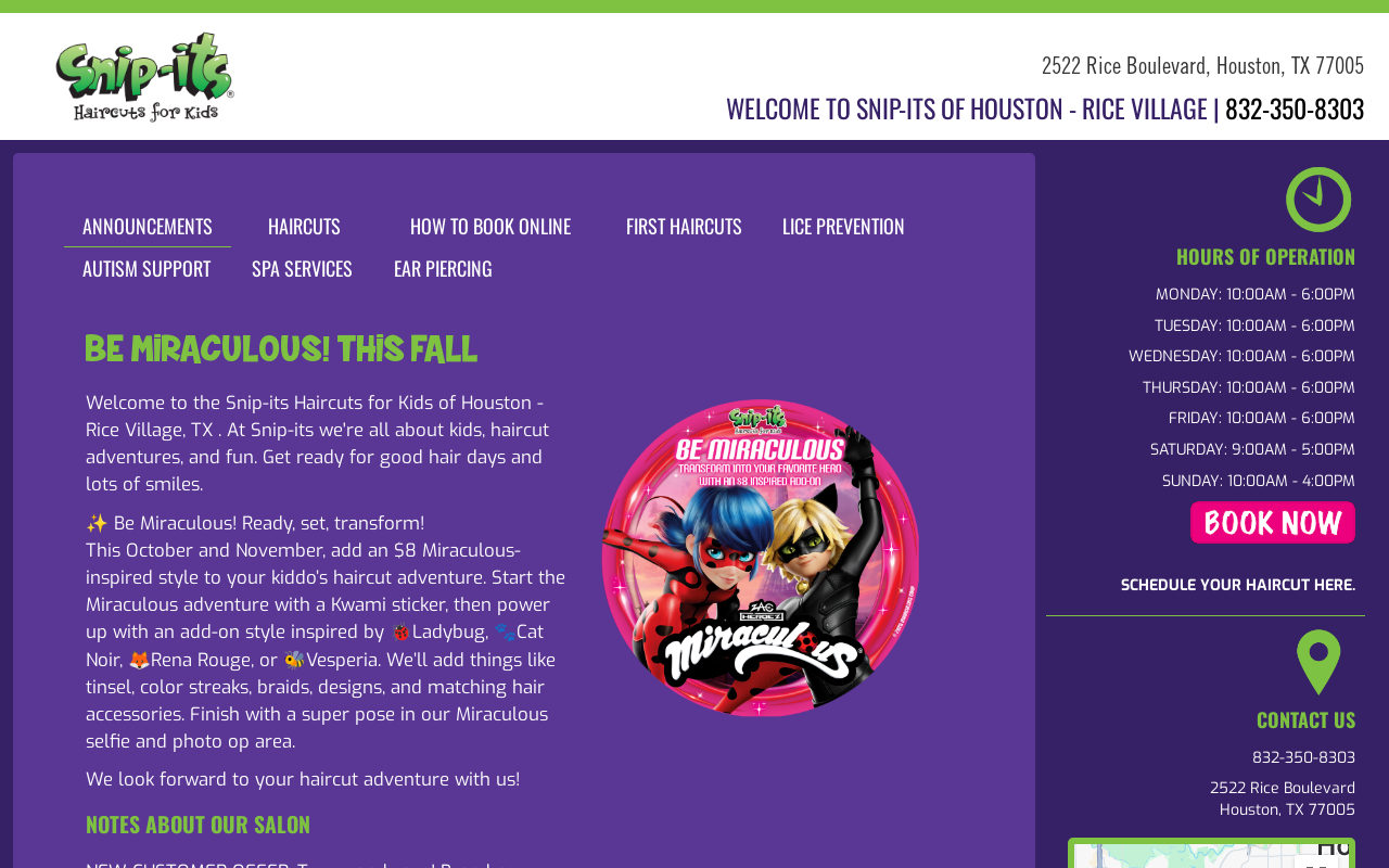 Snip-its Haircuts for Kids — screenshot of their official website