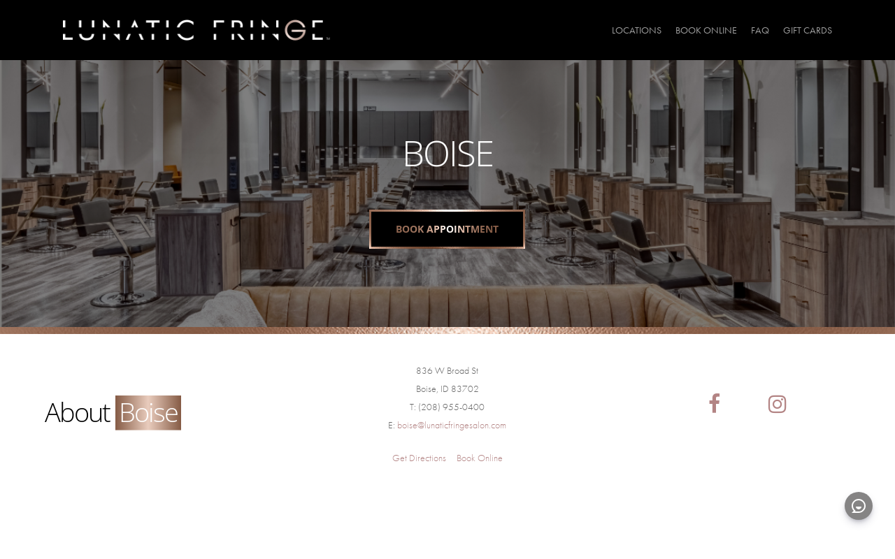Lunatic Fringe Salon — screenshot of their official website