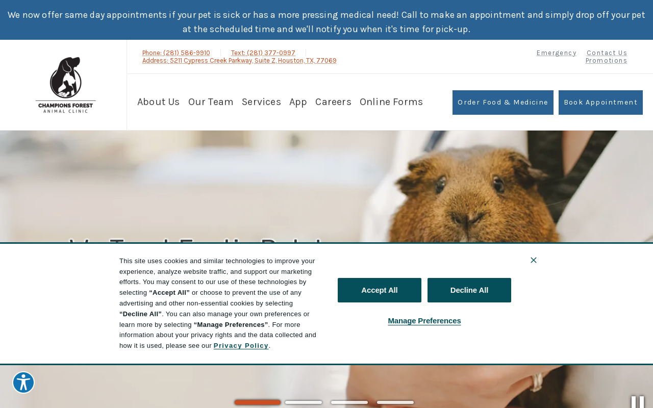 Champions Forest Animal Clinic — screenshot of their official website