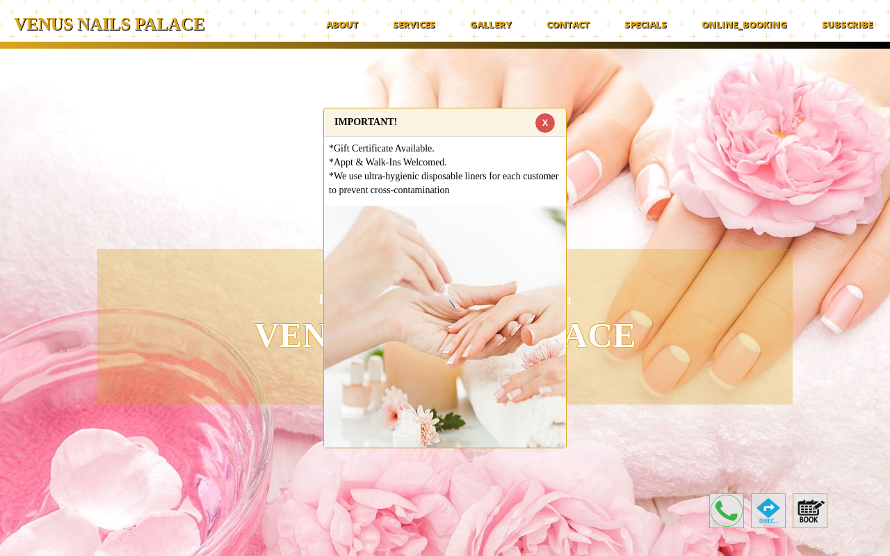 Venus Nails Palace — screenshot of their official website