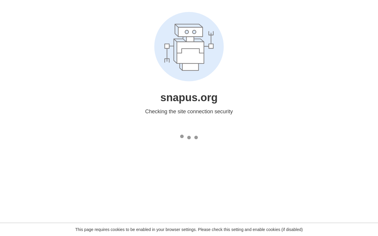 SNAP — screenshot of their official website