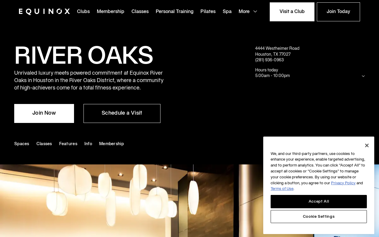 Equinox — screenshot of their official website