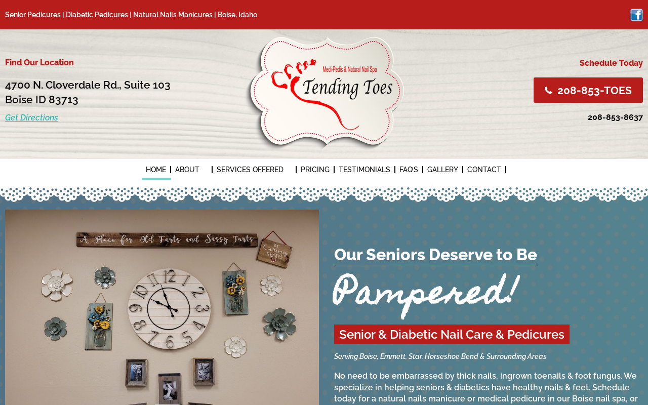 Tending Toes — screenshot of their official website