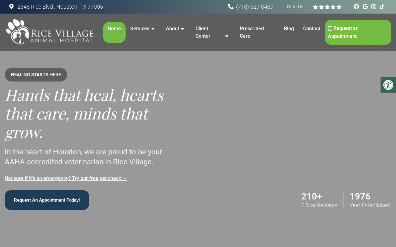 Rice Village Animal Hospital — screenshot of their official website