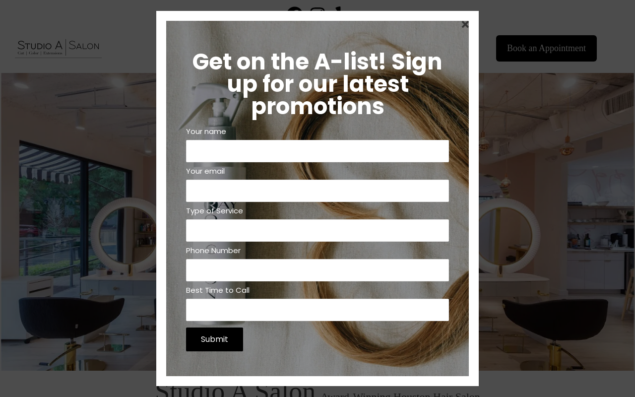 Studio A Salon — screenshot of their official website