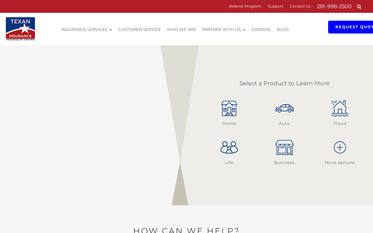 Texan Insurance — screenshot of their official website
