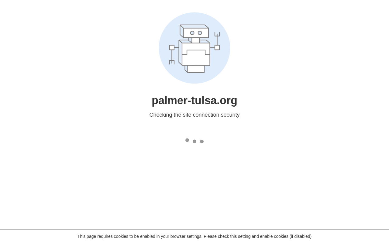 Palmer — screenshot of their official website