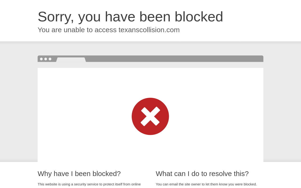 Texans Auto Works — screenshot of their official website
