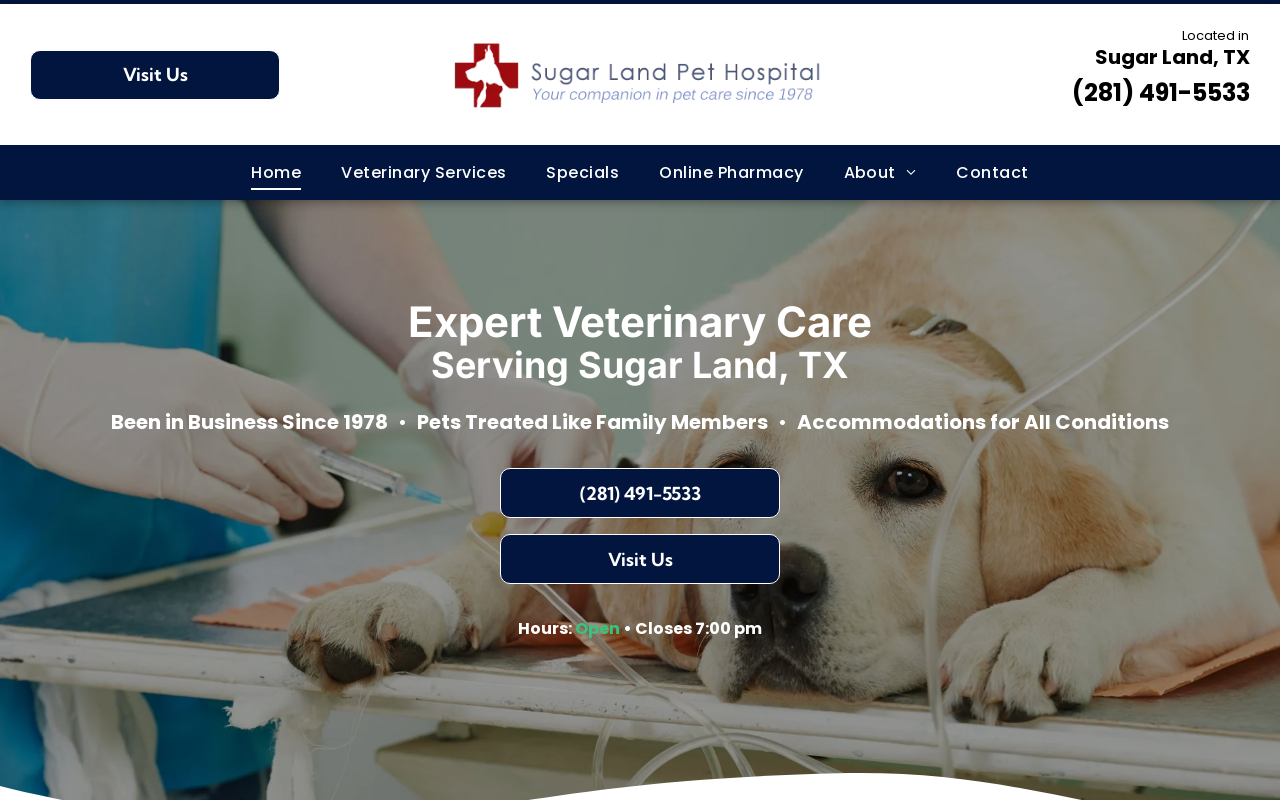 Sugar Land Pet Hospital — screenshot of their official website