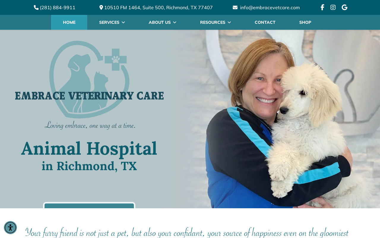 Embrace Veterinary Care Animal Hospital — screenshot of their official website