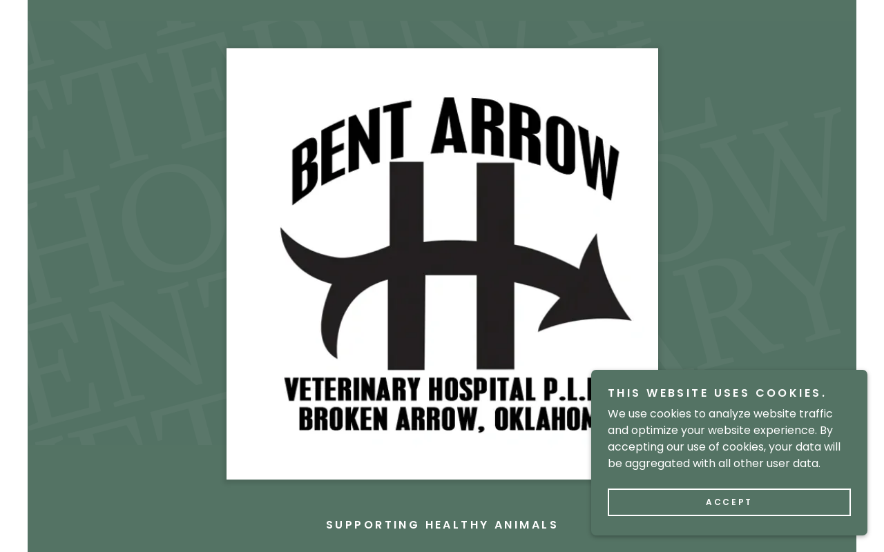 Bent Arrow Veterinary — screenshot of their official website