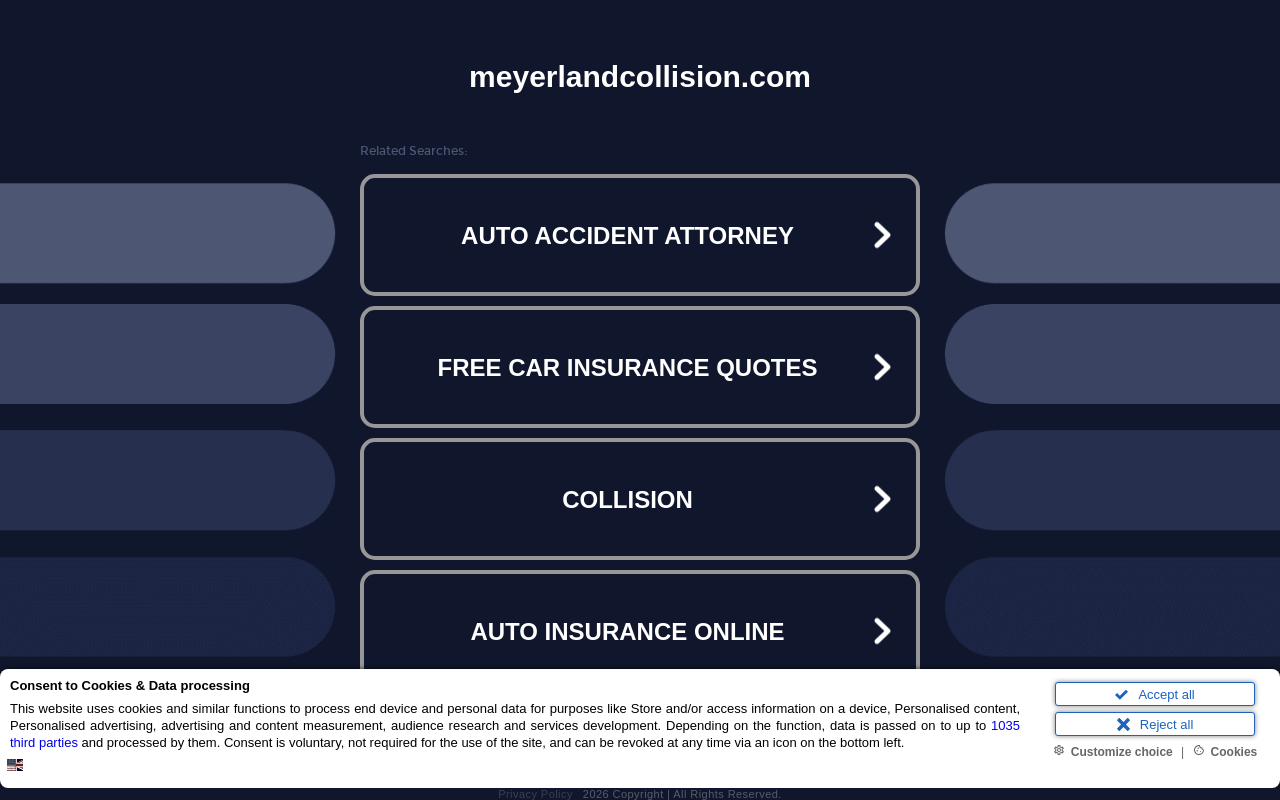 Meyerland Collision — screenshot of their official website