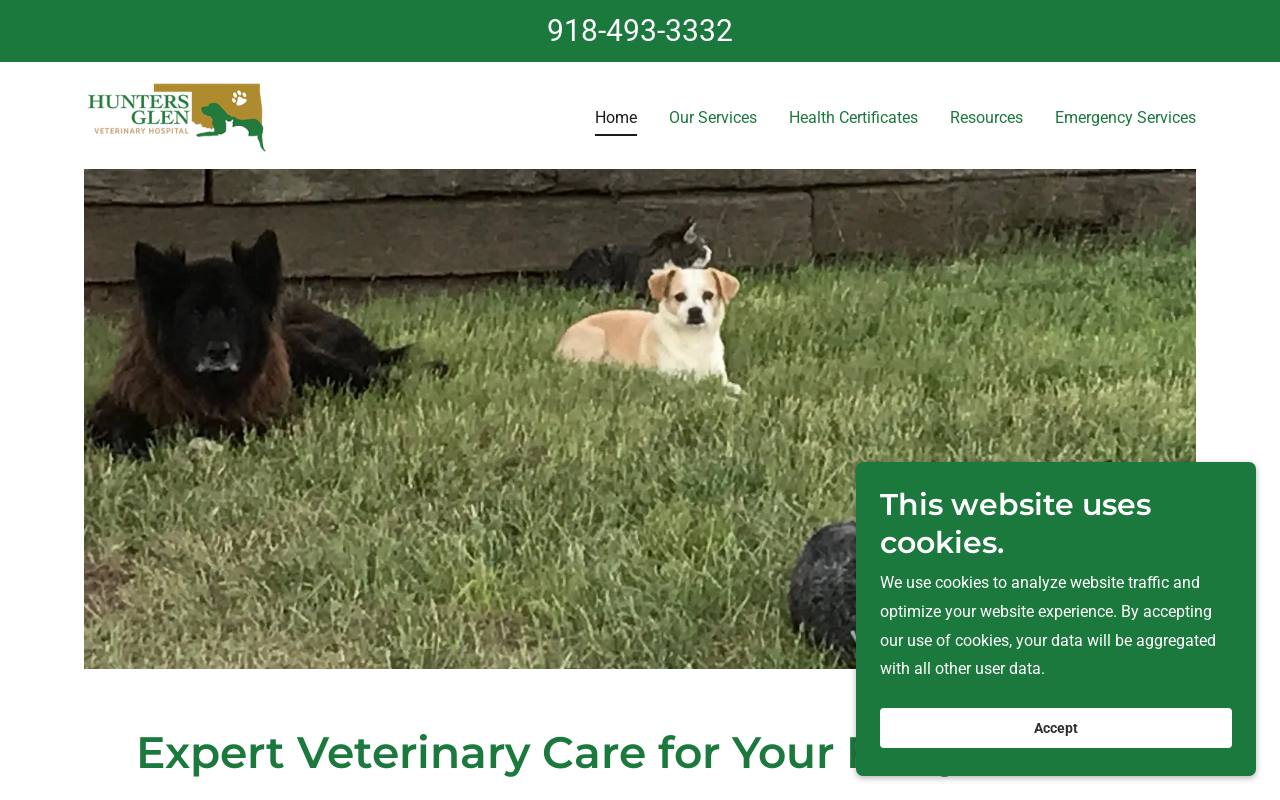 Hunters Glen Veterinary Hospital — screenshot of their official website