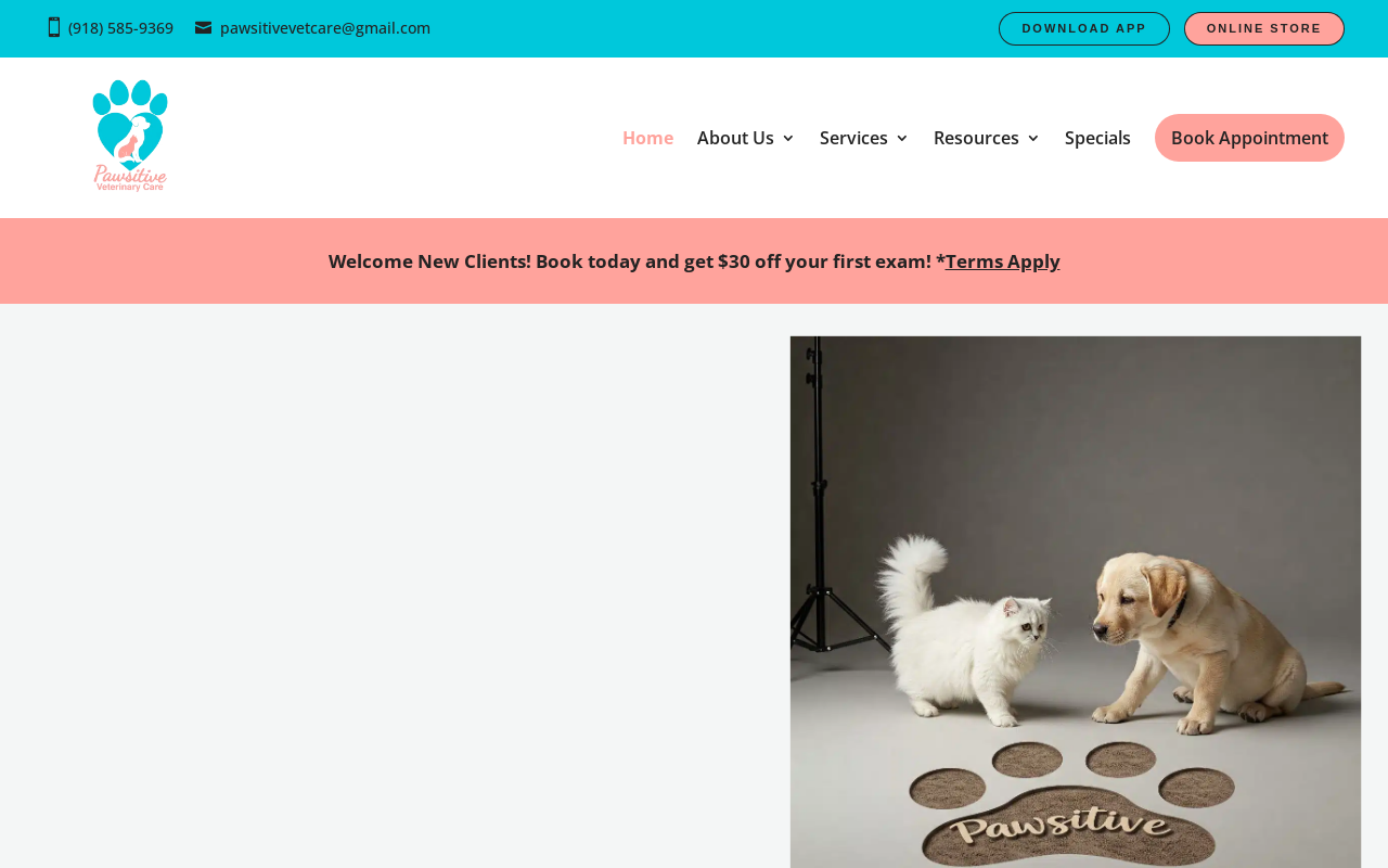 Pawsitive Veterinary Care — screenshot of their official website