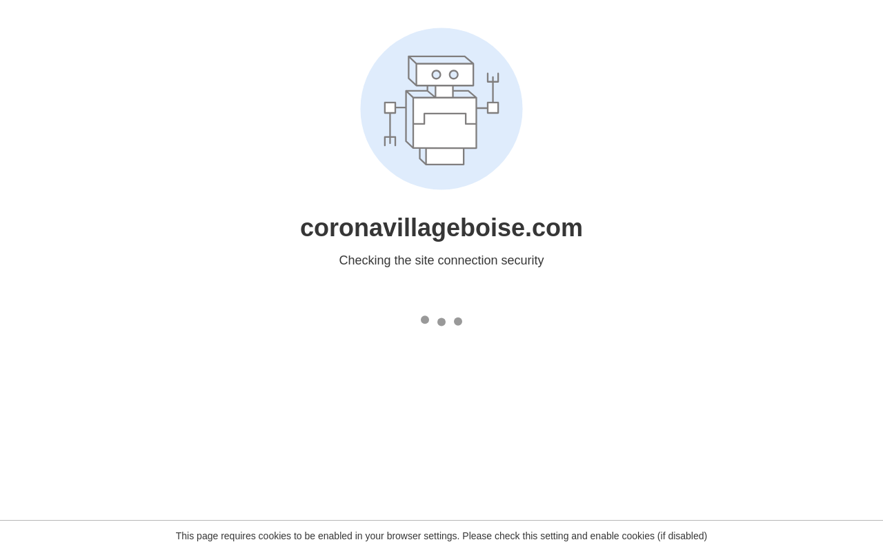 Corona Village — screenshot of their official website