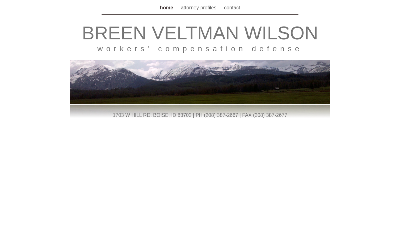 Breen Veltman Wilson — screenshot of their official website