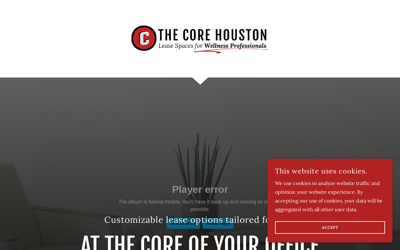The Core — screenshot of their official website