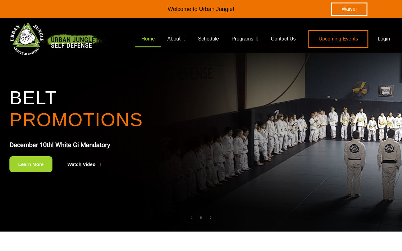 Urban Jungle Self-Defense — screenshot of their official website