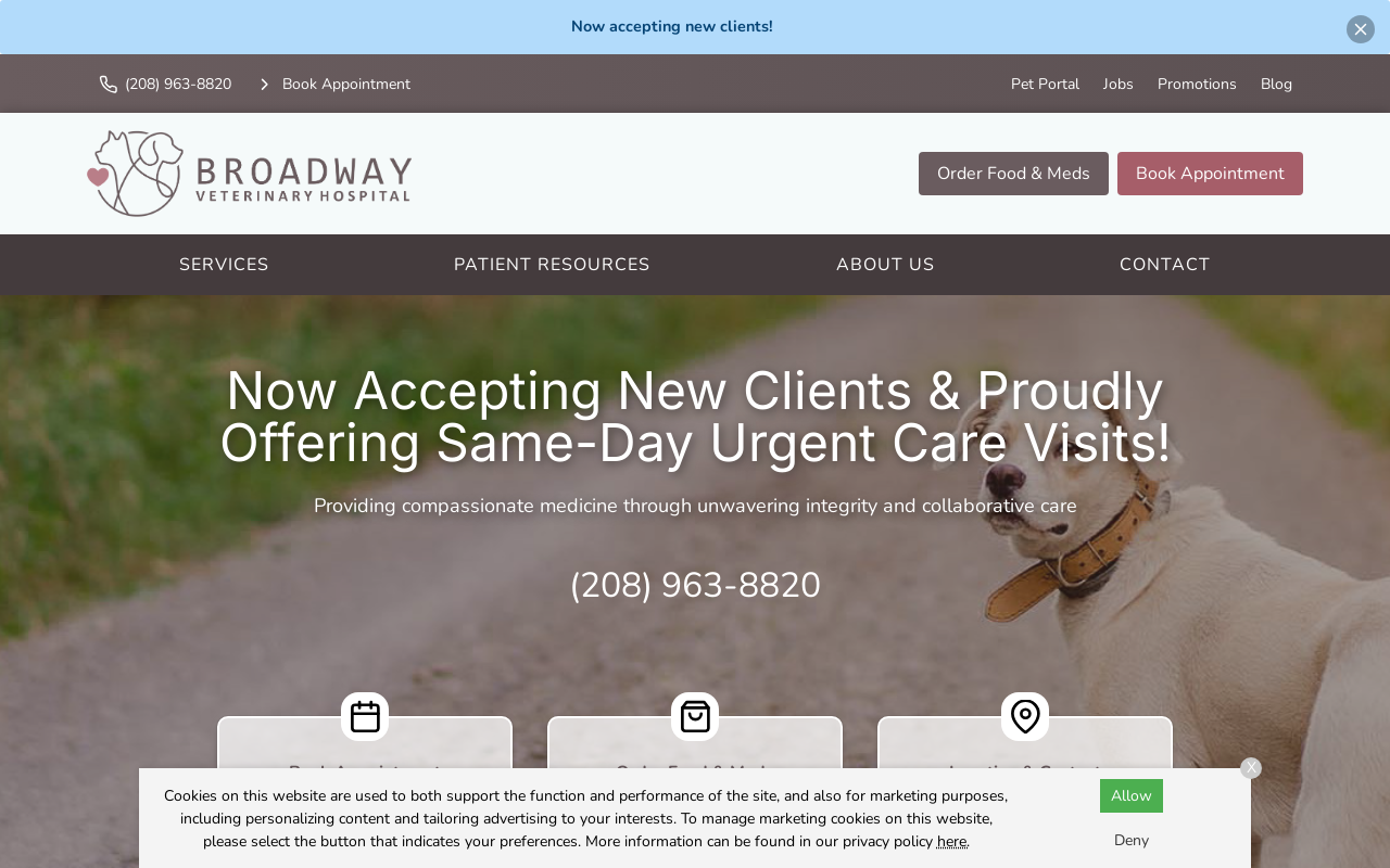 Broadway Vet — screenshot of their official website