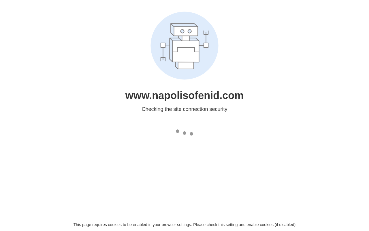 Napoli's Italian Restaurant — screenshot of their official website